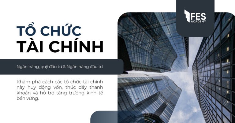 Vai trò của các tổ chức tài chính trong nền kinh tế: Ngân hàng, quỹ đầu tư, và Ngân hàng đầu tư?