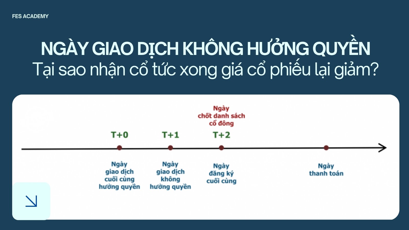Ngày giao dịch không hưởng quyền là gì? Tại sao nhận cổ tức xong giá cổ phiếu lại giảm?