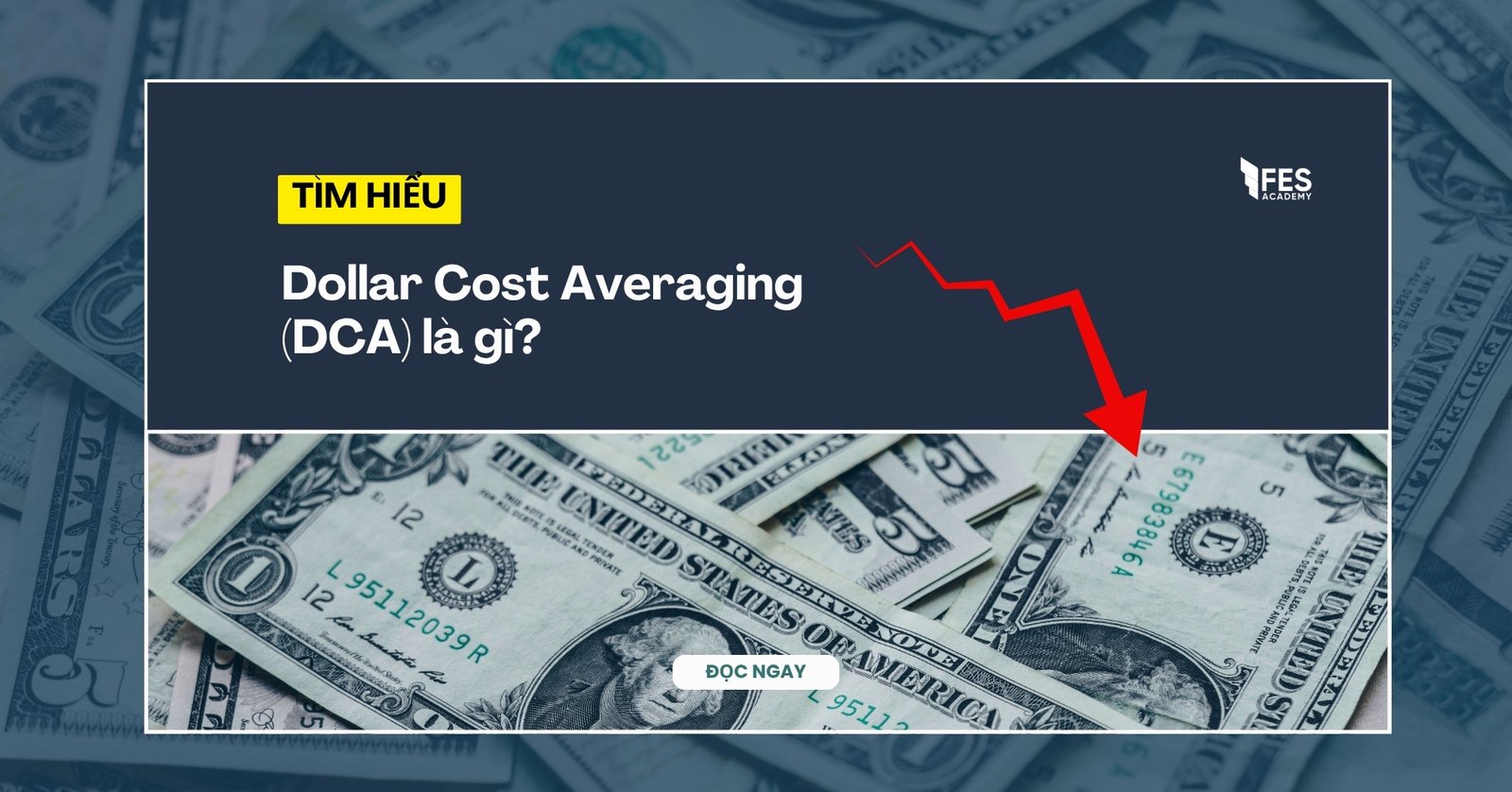 Dollar Cost Averaging (DCA) là gì? Nghệ thuật trung bình giá và sức mạnh của kỷ luật tích sản
